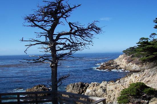 Monterey Bay